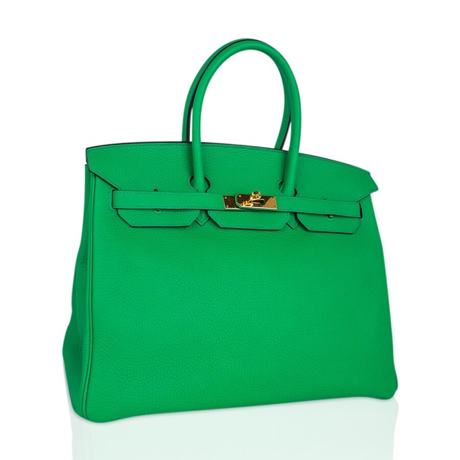 Hermes Birkin 35 Bag Bamboo Togo Leather with Gold Hardware | Studio Nafay
