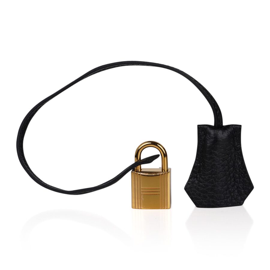 Hermes Birkin 35 Bag Black Togo Gold Hardware Ultimate Classic | Studio Nafay