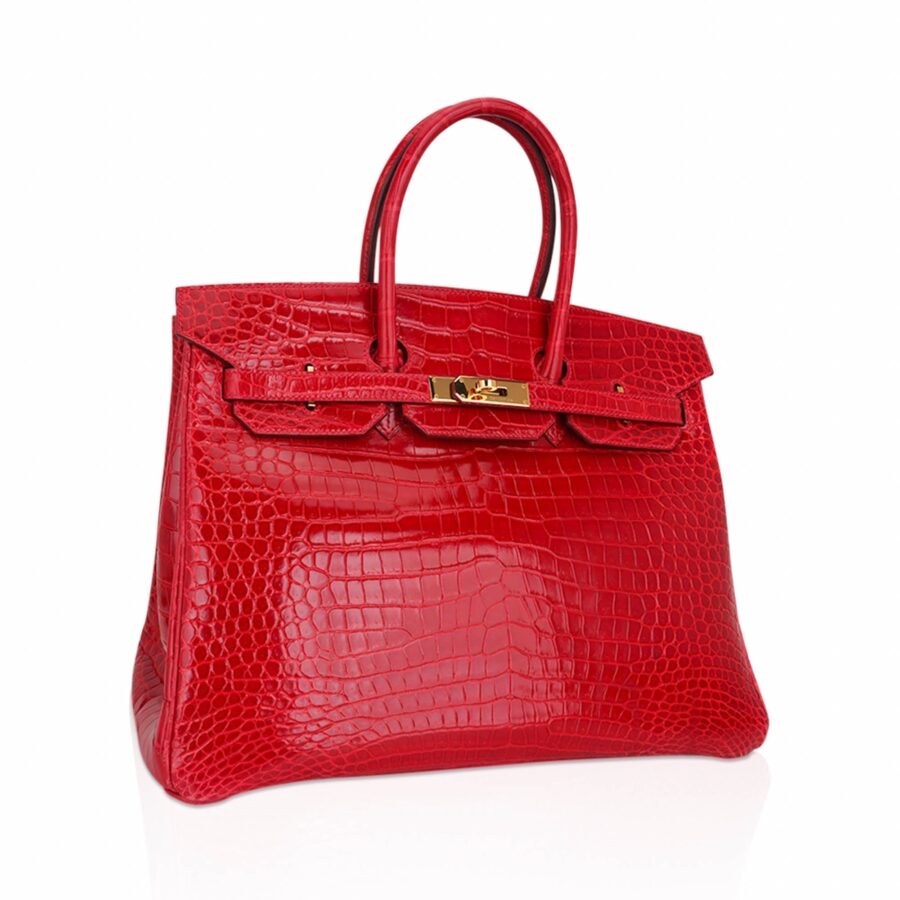 Hermes Birkin 35 Bag Braise Porosus Crocodile with Gold Hardware | Studio Nafay