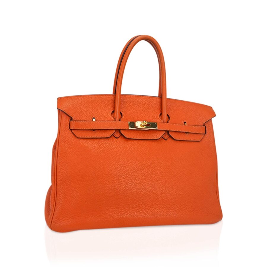 Hermes Birkin 35 Bag Orange Togo Leather with Gold Hardware | Studio Nafay
