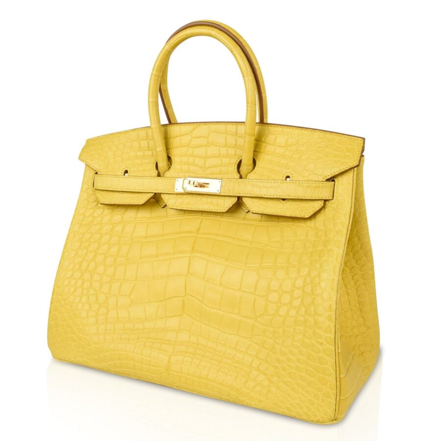 Hermes Birkin 35 Bag Matte Alligator Mimosa Gold Hardware Crazy Fabulous | Studio Nafay