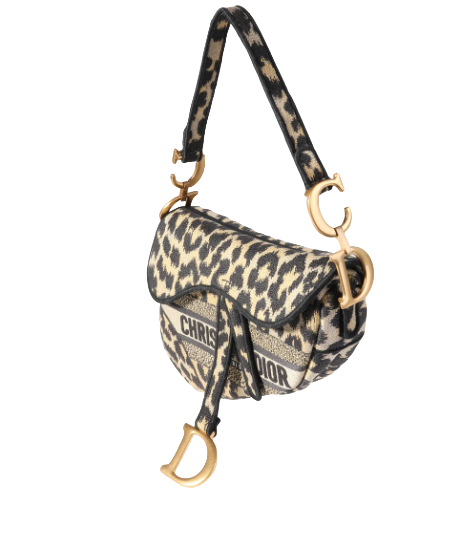 Dior Beige Multicolor Mizza Embroidery Saddle Bag | Studio Nafay