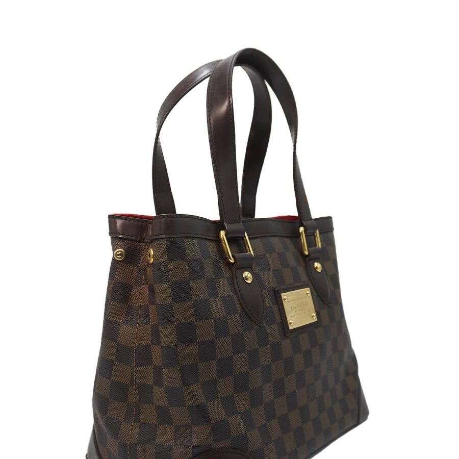 Hampstead Damier Ebene PM Brown, Multicolor | Studio Nafay
