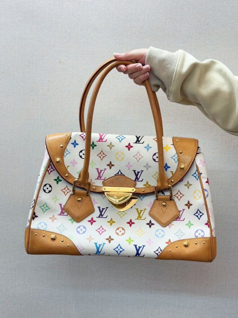 Louis Vuitton Multicolor Speedy Bag - Product Image 2