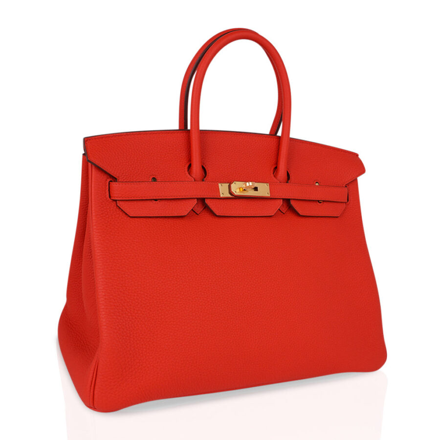 Hermes Birkin 35 Bag Capucine Togo Leather with Gold Hardware | Studio Nafay
