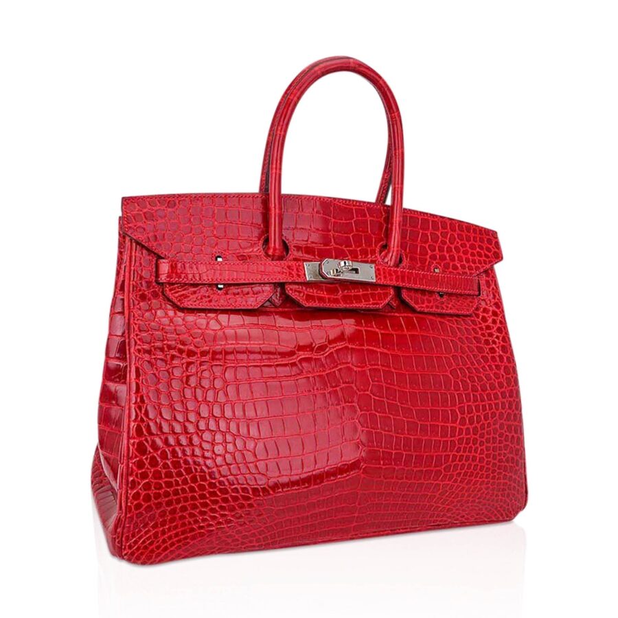 Hermes Birkin 35 Bag Braise Porosus Crocodile with Palladium Hardware | Studio Nafay