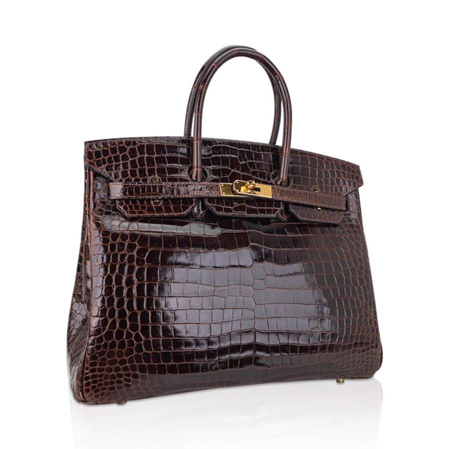 Hermes Birkin 35 Bag Cocoan Porosus Crocodile with Gold Hardware | Studio Nafay