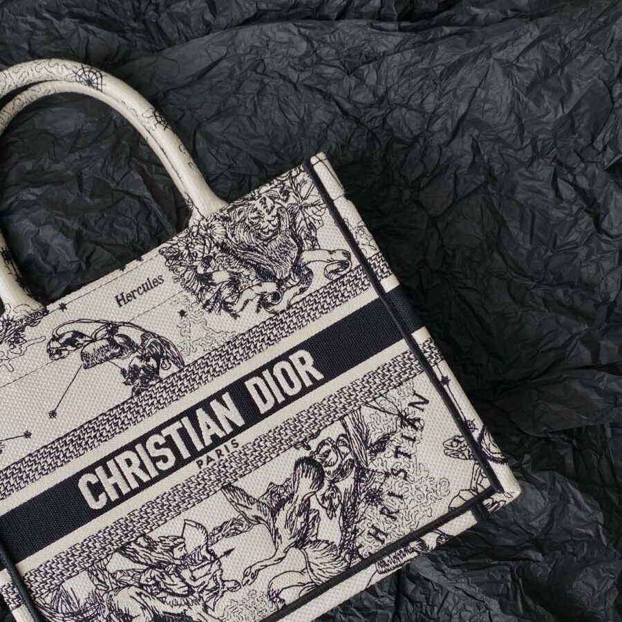 Small CD Book Tote 26.5cm Hercules White | Studio Nafay